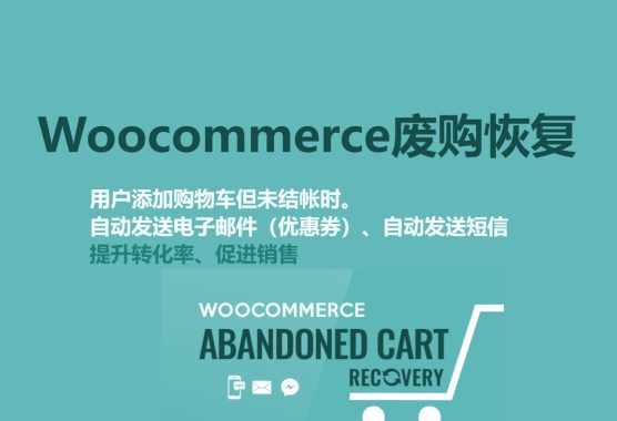 WooCommerce 弃购恢复 v1.1.4  电子邮件 – 短信 – Messenger 跨境电商独立站WordPress插件 WooCommerce Abandoned Cart Recovery v1.1.4 – Email – SMS – Messenger