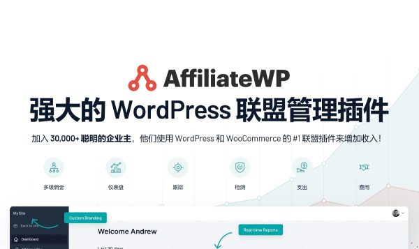 AffiliateWP v2.27.2推广联盟管理插件 跨境电商独立站联盟营销WordPress WooCommerce插件