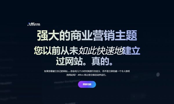 Affirm v4.0.0 多功能WordPress 主题 企业网站 商业咨询服务、商业顾问、金融类网站模板 跨境电商独立站商城模板行业购物网站模板