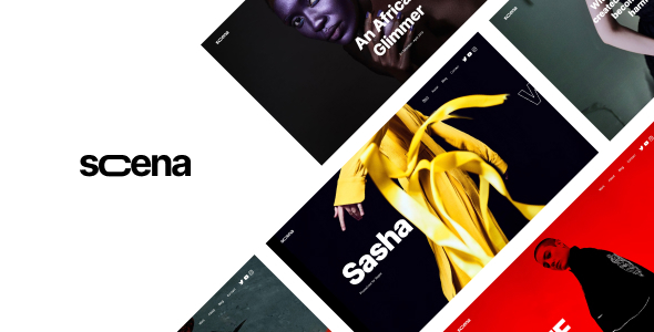 Scena v1.1.9创意 Ajax 组合Wordpress主题 适用于设计作品、摄影、视频、艺术品等网站
